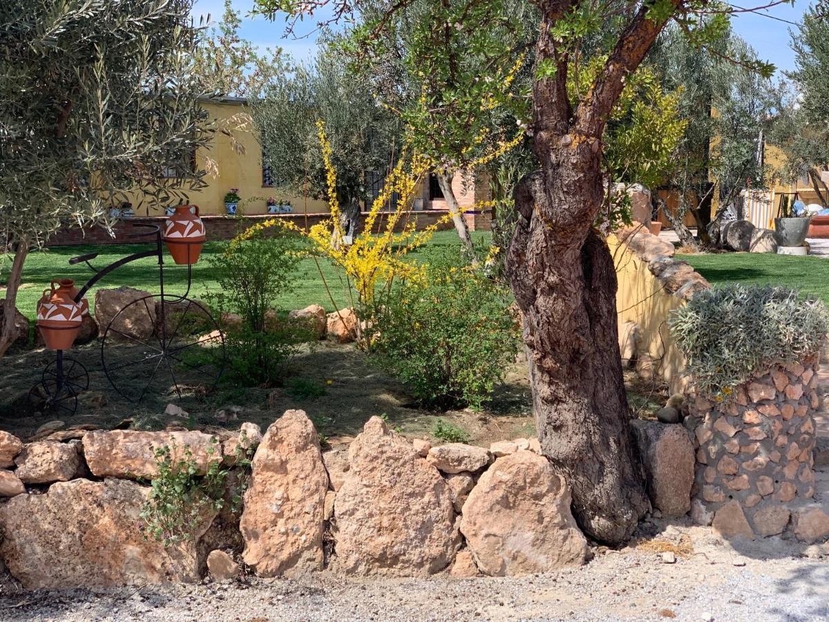 Гостевой дом Cortijo Bustamante Баса Экстерьер фото