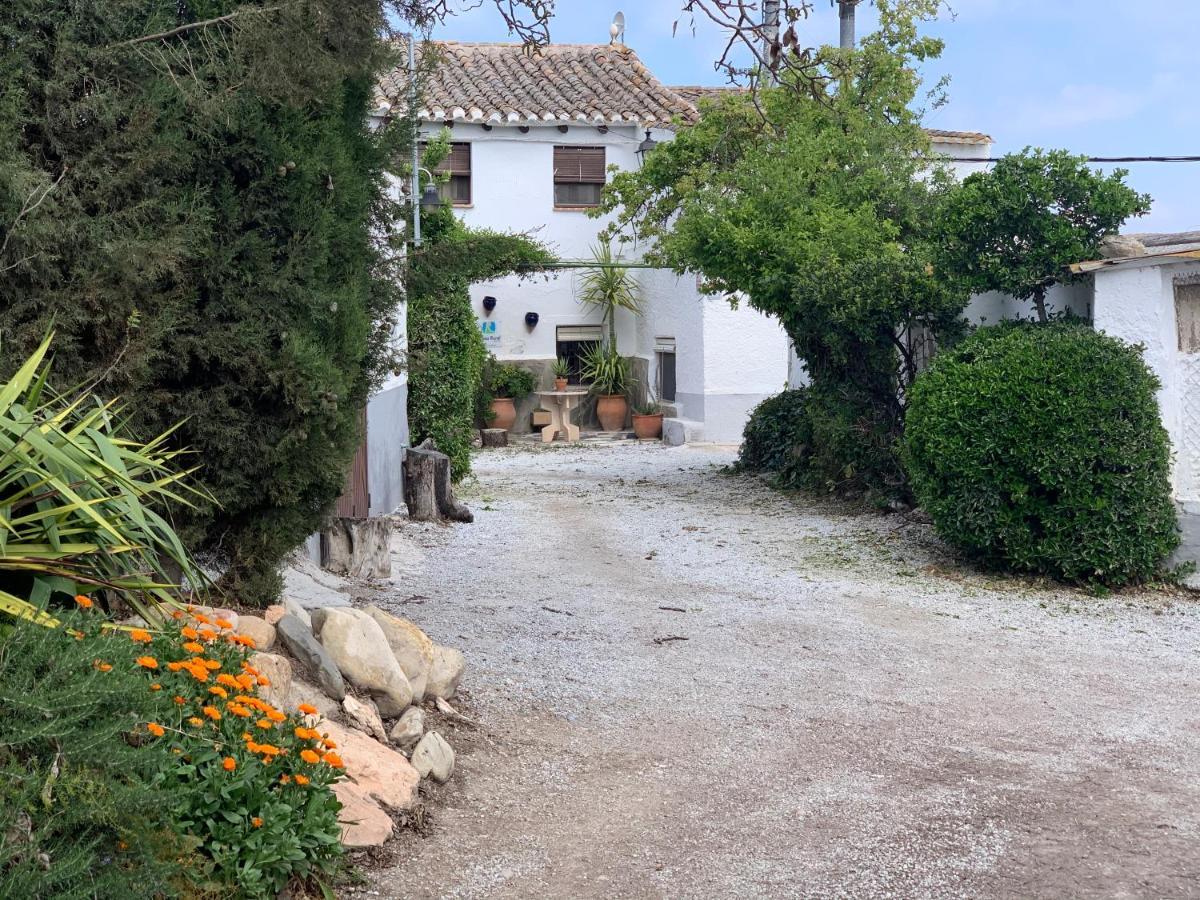 Гостевой дом Cortijo Bustamante Баса Экстерьер фото