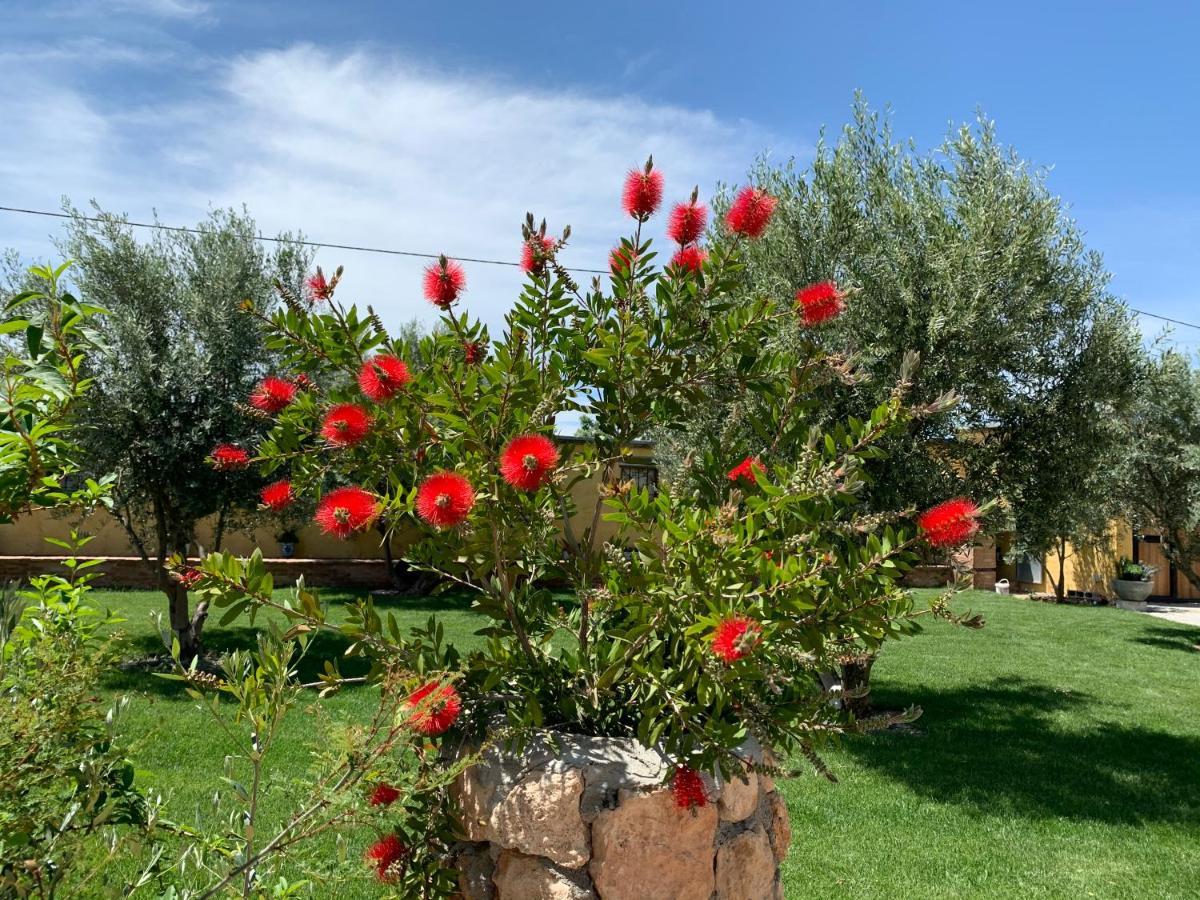 Гостевой дом Cortijo Bustamante Баса Экстерьер фото