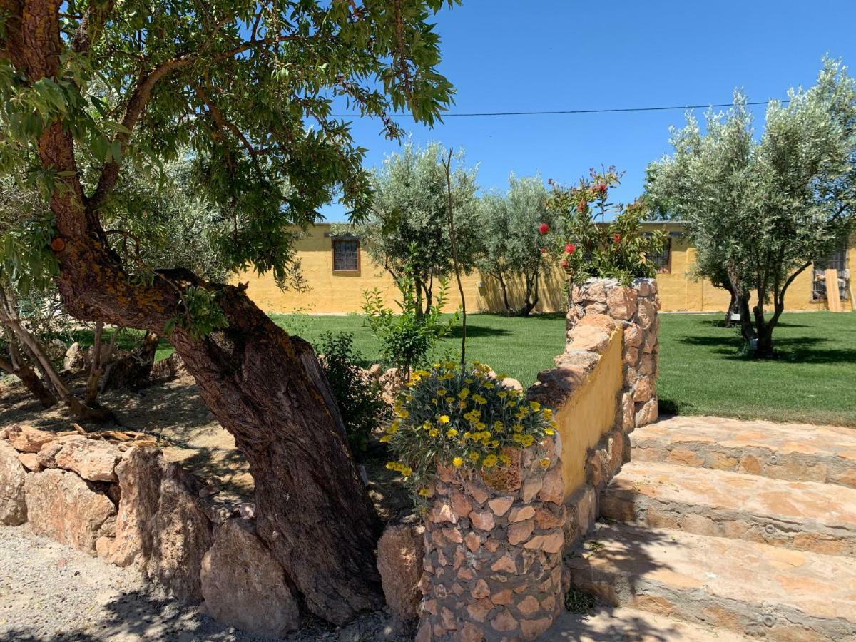 Гостевой дом Cortijo Bustamante Баса Экстерьер фото