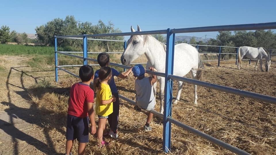 Гостевой дом Cortijo Bustamante Баса Экстерьер фото